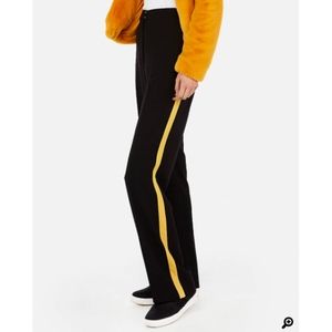 Express High Waisted Wide Leg Pant